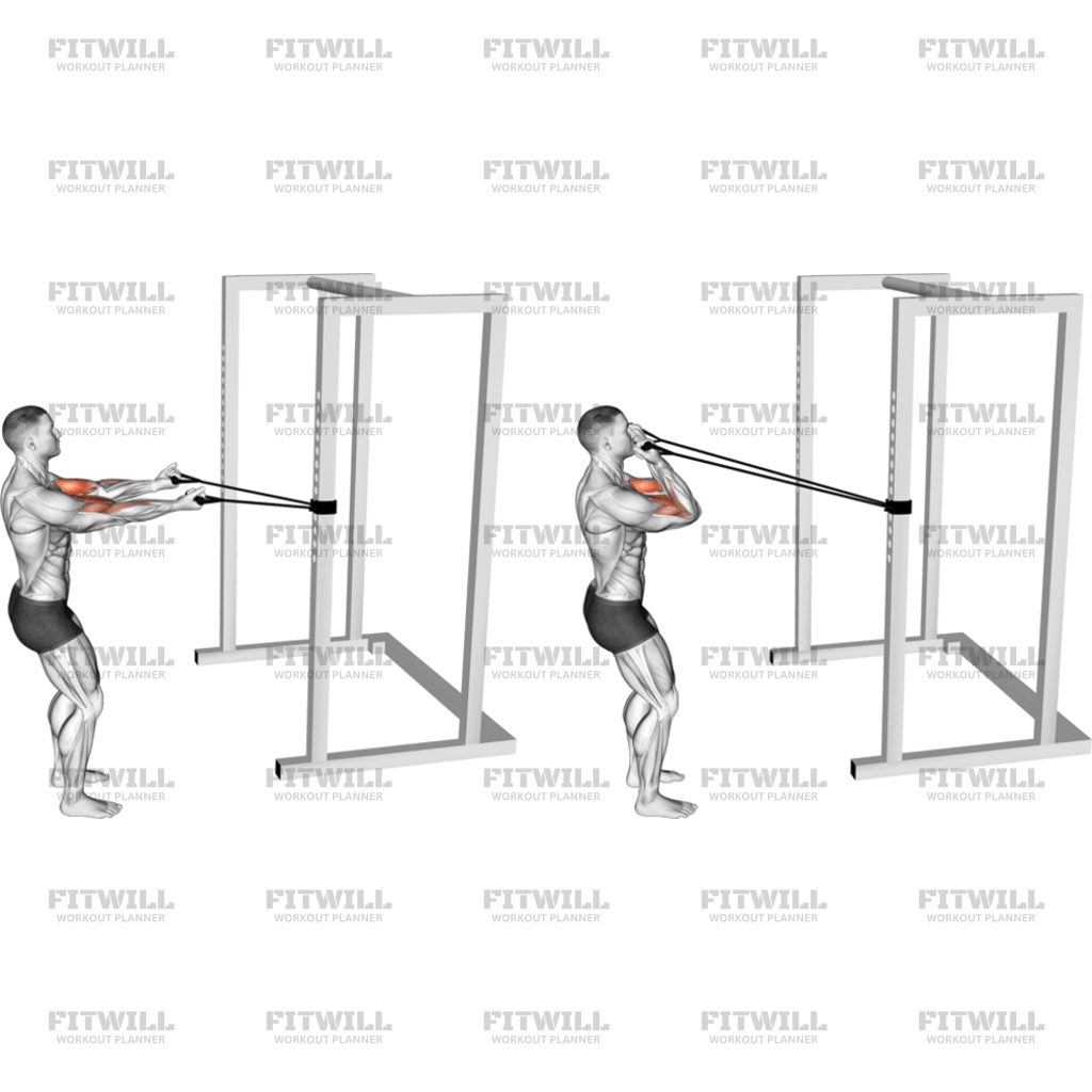 Band Horizontal Biceps Curl: Exercise Guide, Video, Techniques ...
