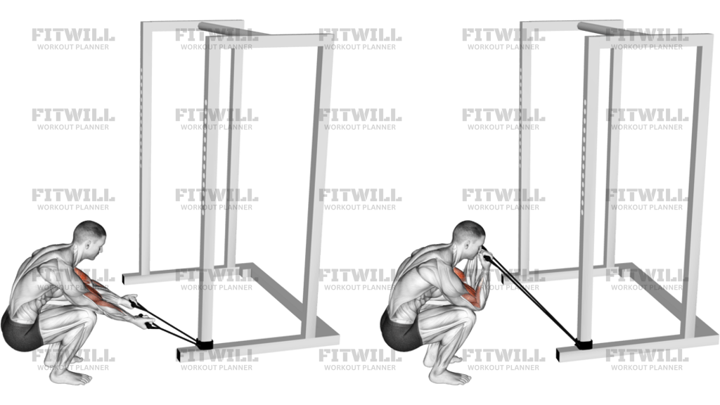 Band Kneeling Preacher Curl