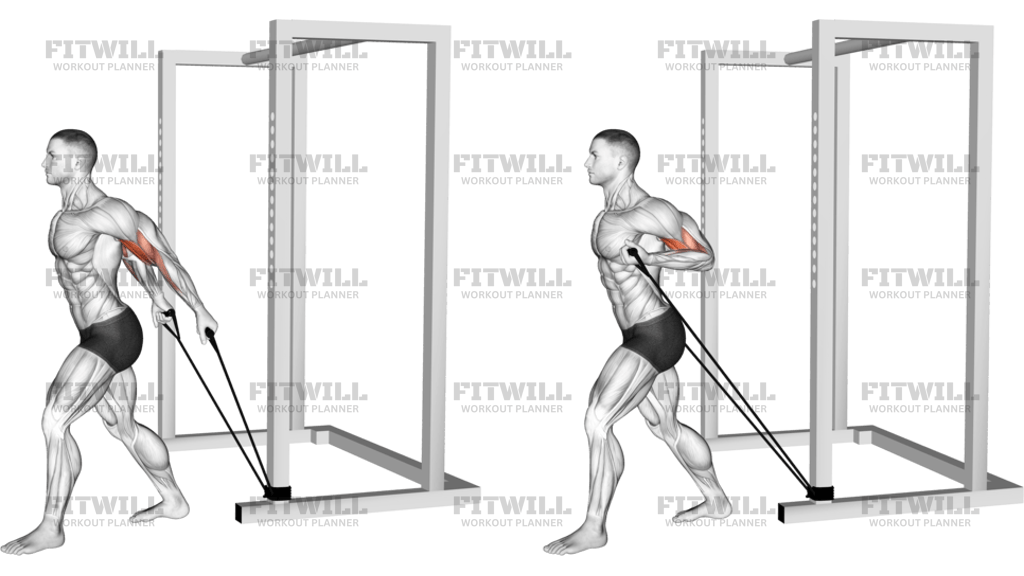 Band 45 Degrees Biceps Curl