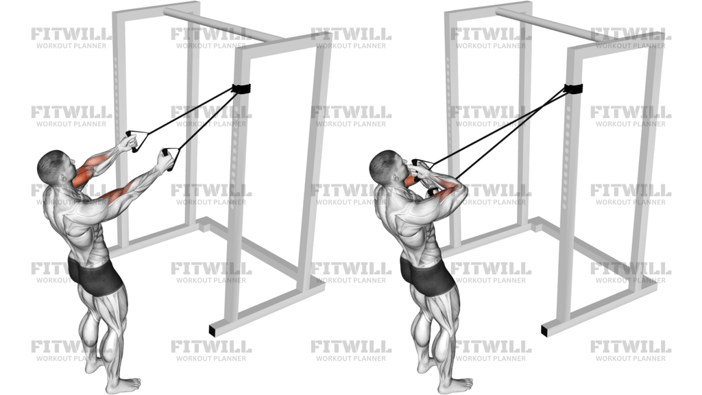 Band Cross Chest Biceps Curl