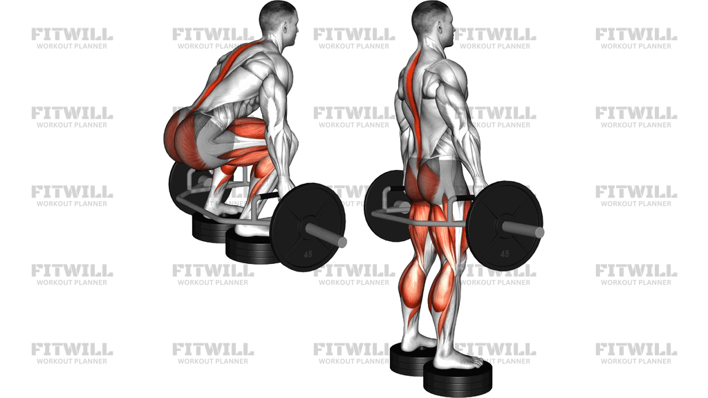 Trap Bar Deadlift From Deficit