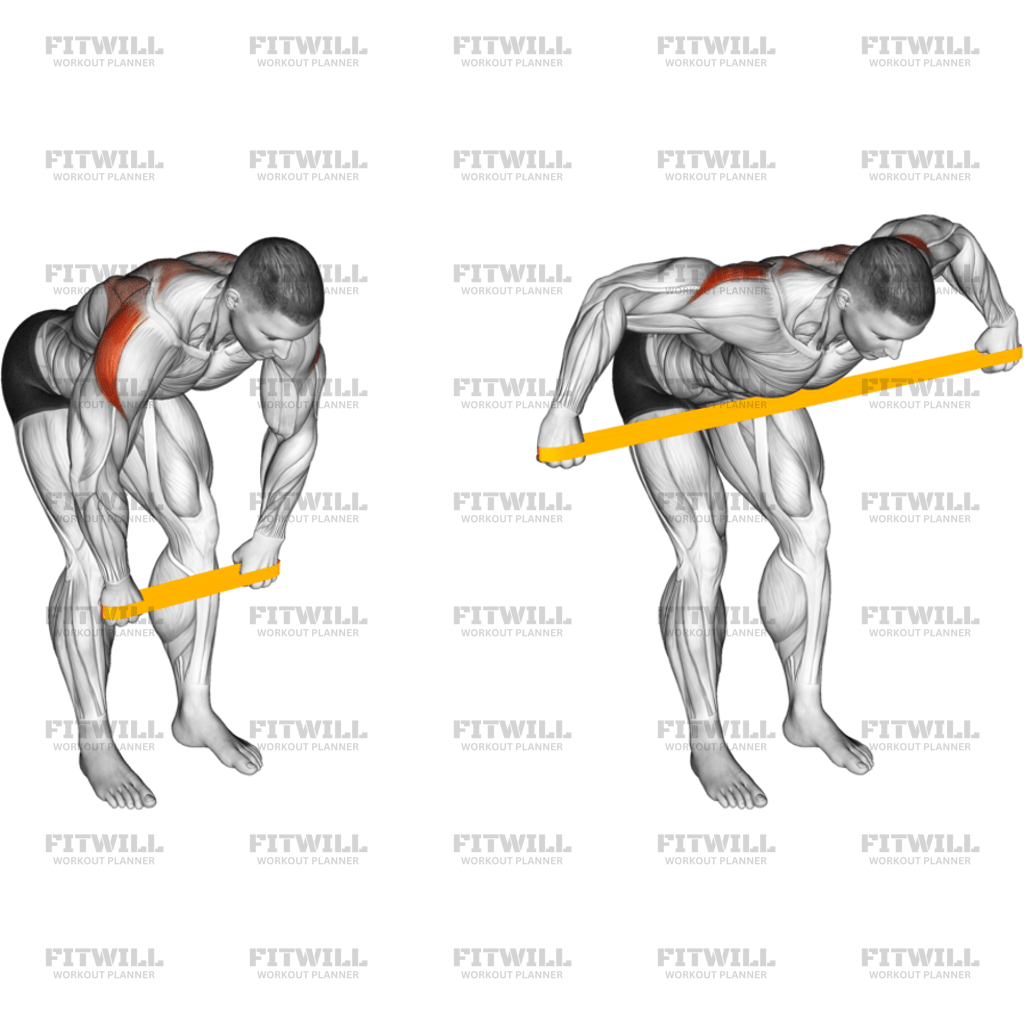Resistance Band Bent-Over Rear Delt Fly: Exercise Guide, Techniques ...