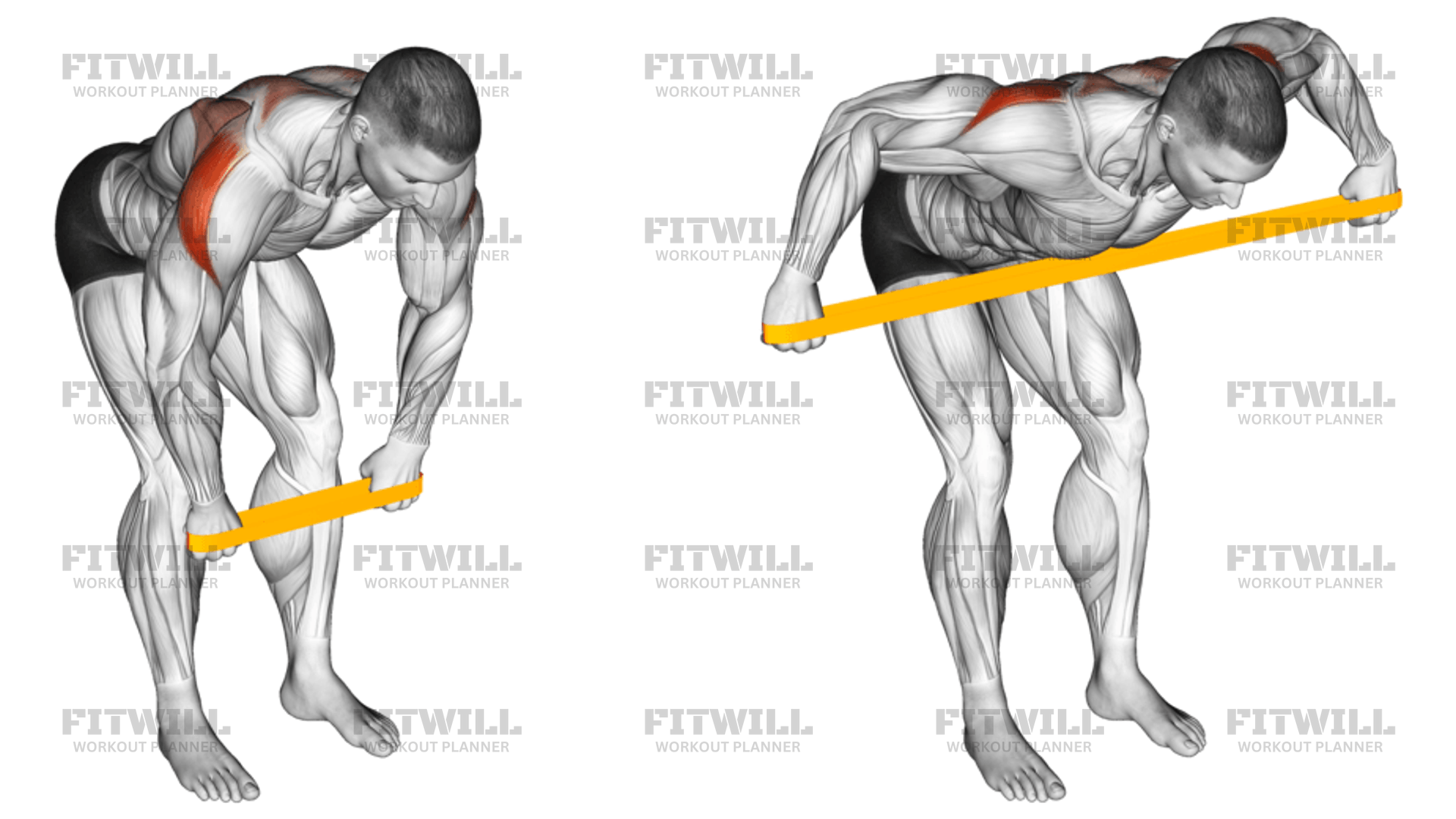 Rear delt exercises with resistance bands sale