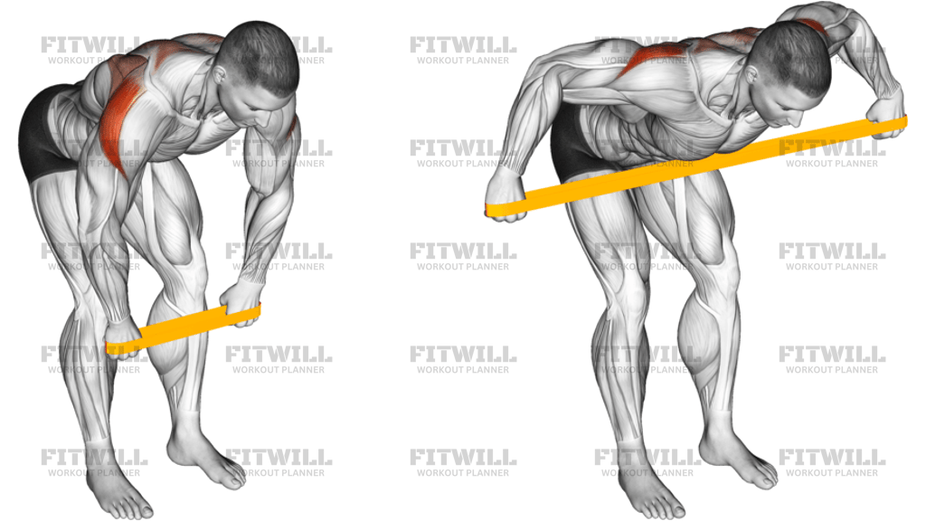 Resistance Band Bent-Over Rear Delt Fly