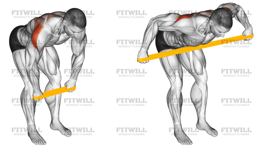 How to do Resistance Band Bent Over Rear Delt Fly: Techniques, Benefits ...