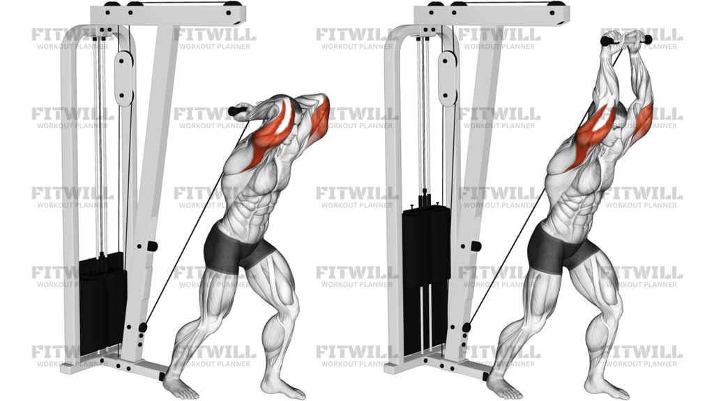 Cable Overhead Tricep Extension Straight-Bar