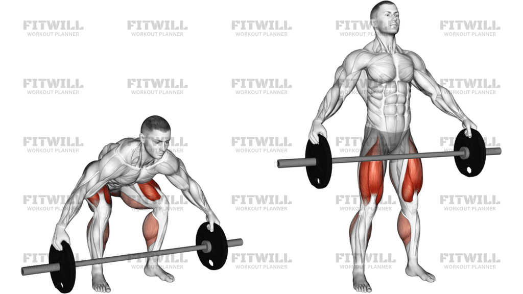 Barbell Reeves Deadlift