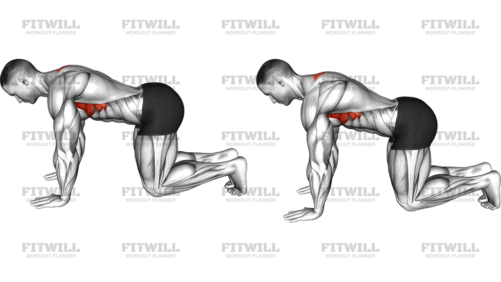 Kneeling Scapular Push-Up