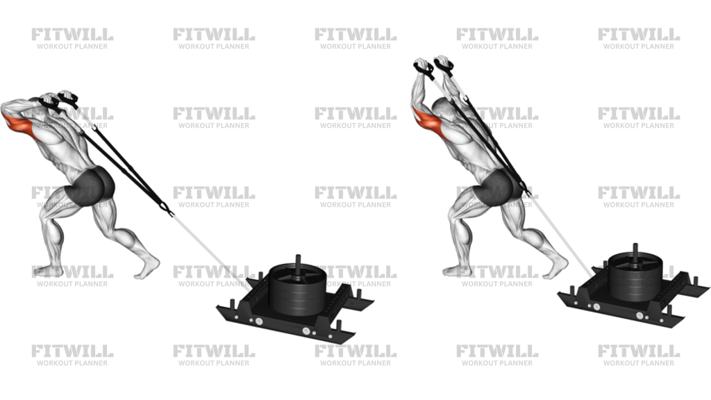 Extenzia Tricepsov S Power Sledom