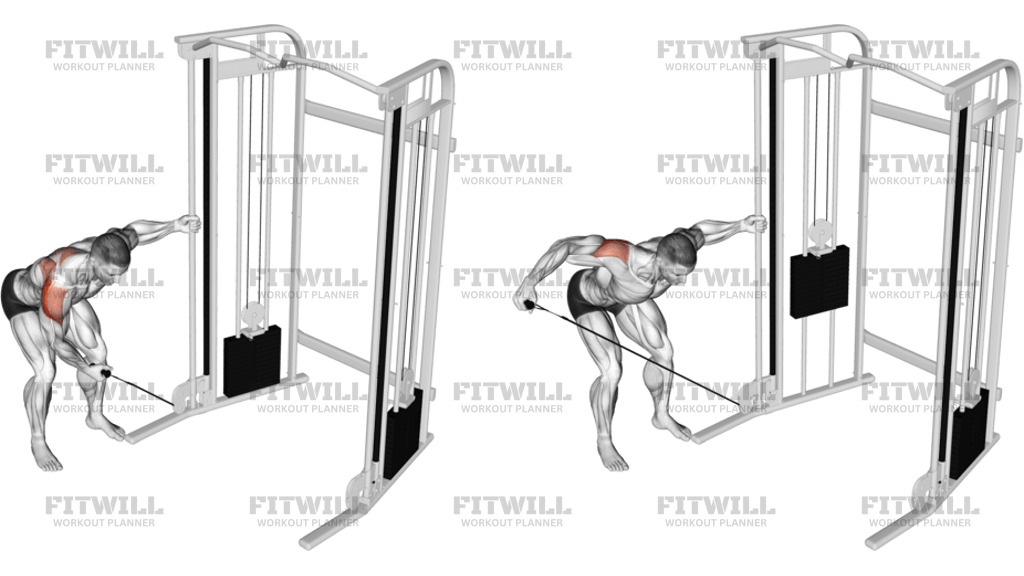 Cable One-Arm Reverse Fly