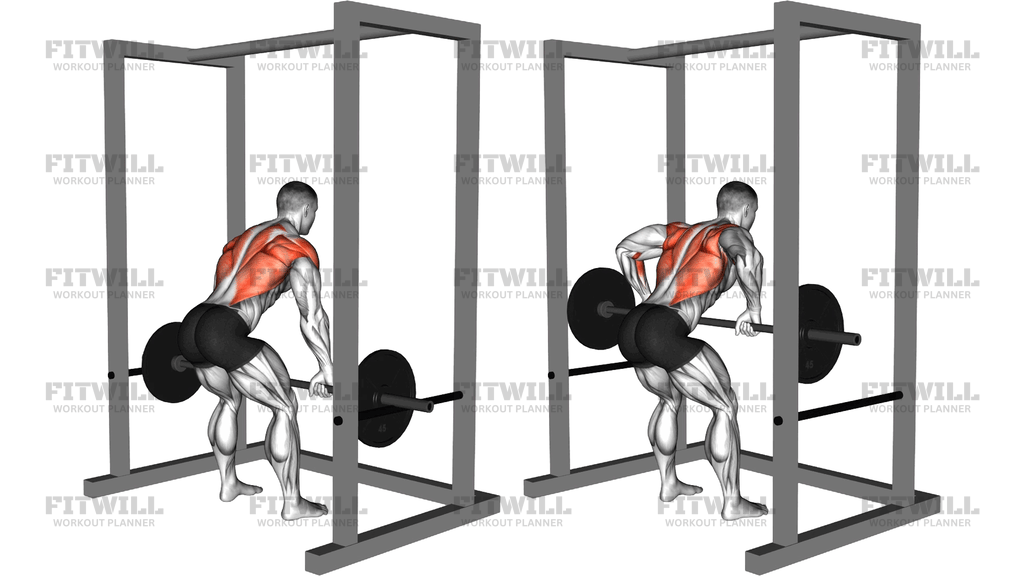 Barbell Deadstop Row With Rack