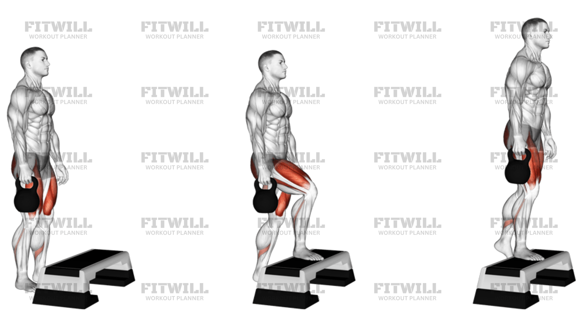 Kettlebell Single Leg Step Up Exercise Guide Techniques Benefits How to Muscles Worked Tips Tricks Fitwill