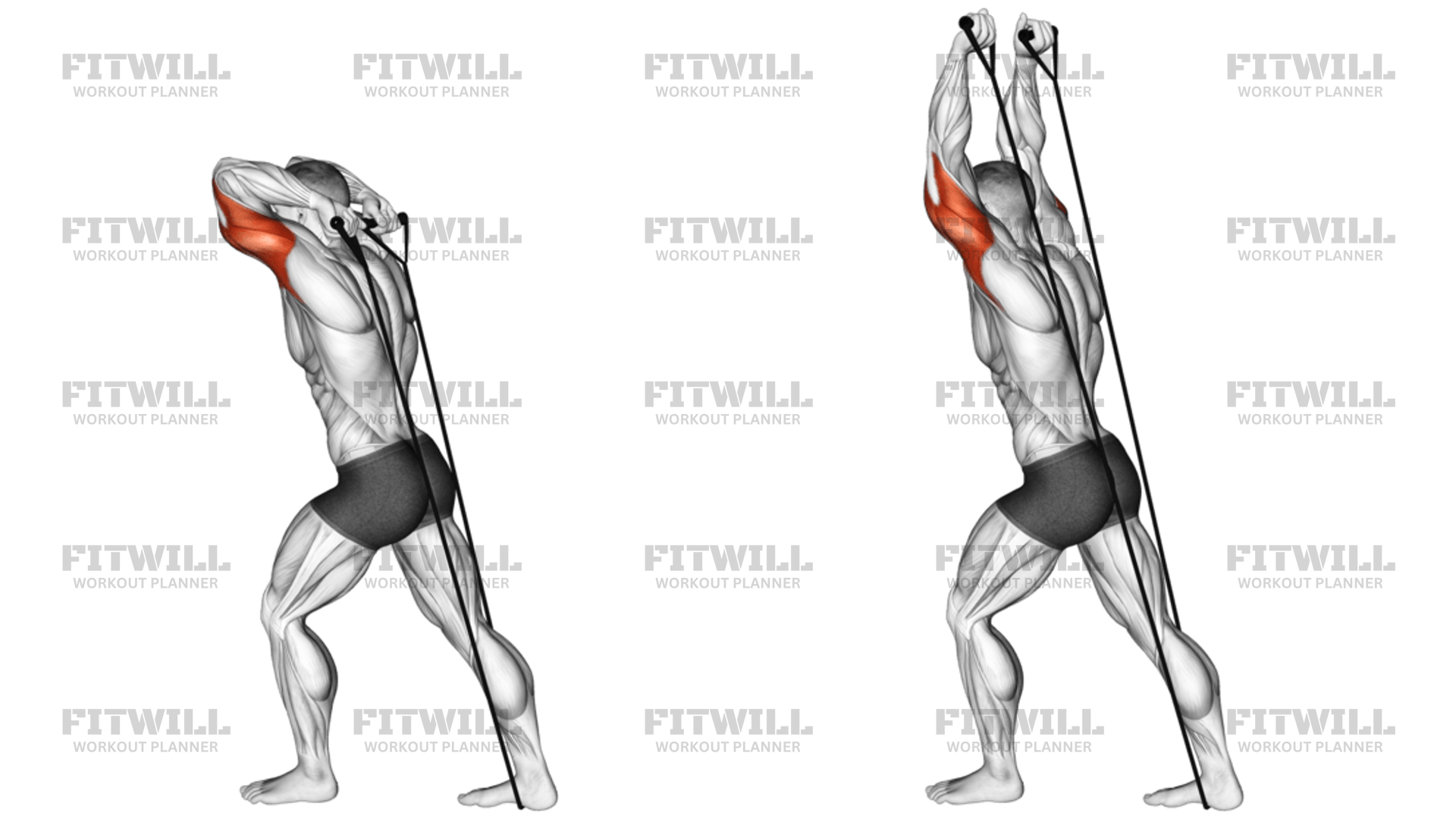 Band Overhead Triceps Extension Version 2: Exercise Guide, Video ...