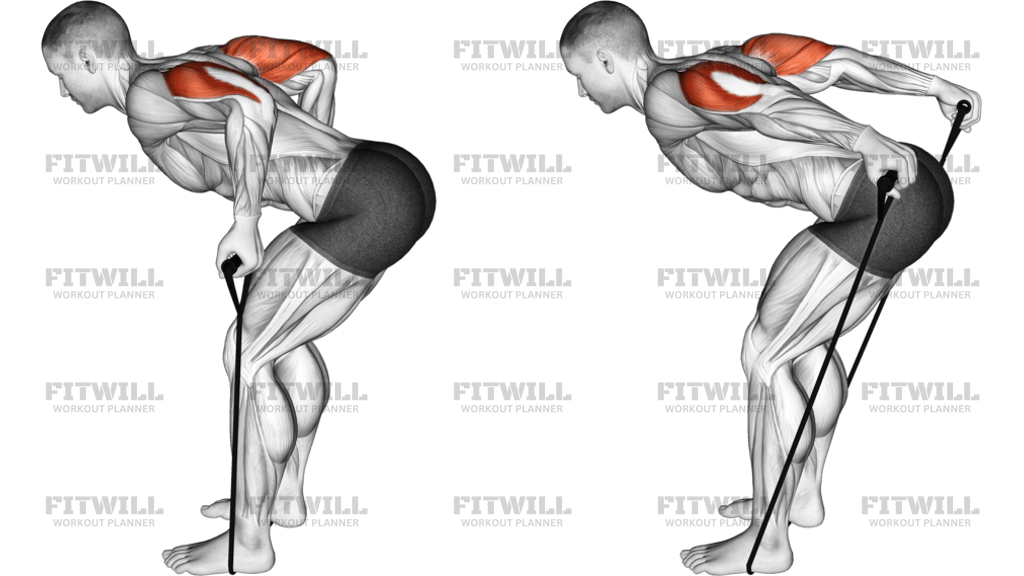 Band Triceps Kickback