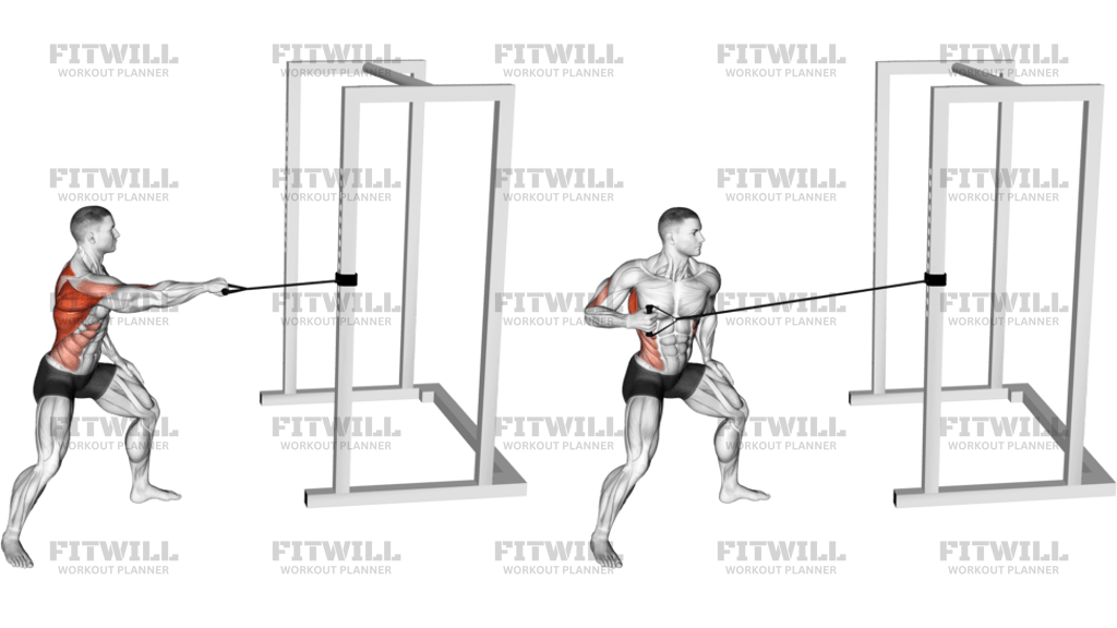 Band Standing Single-Arm Twist Row