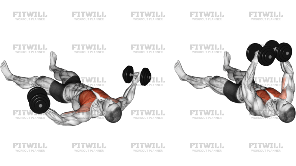 Dumbbell Floor Fly