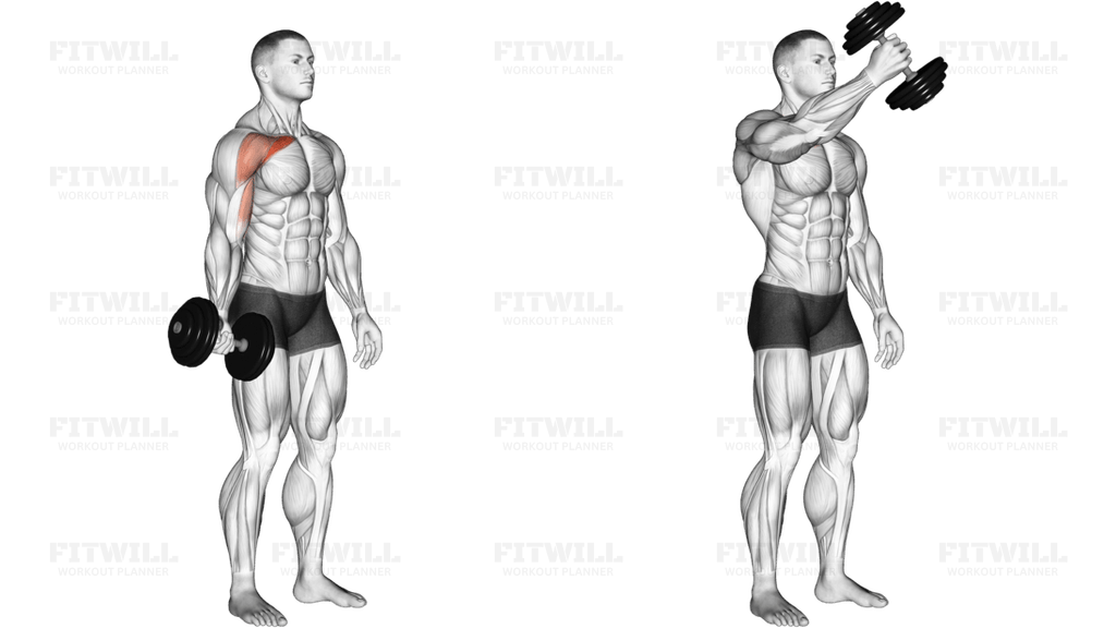 Dumbbell Standing One Arm Chest Fly