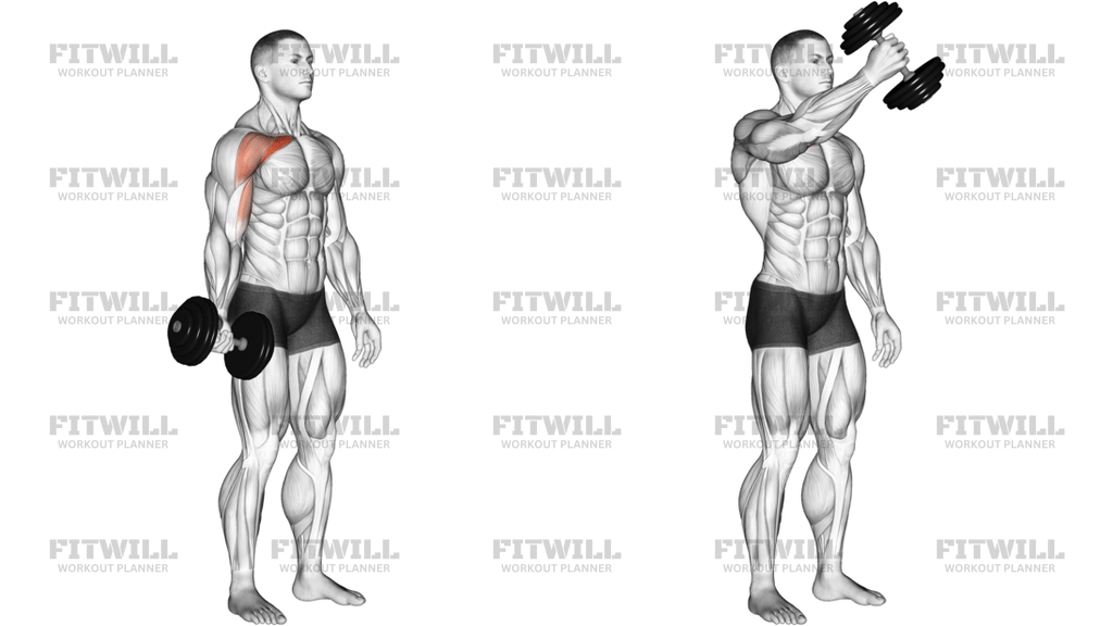 Dumbbell One-Arm Low Fly Right Side
