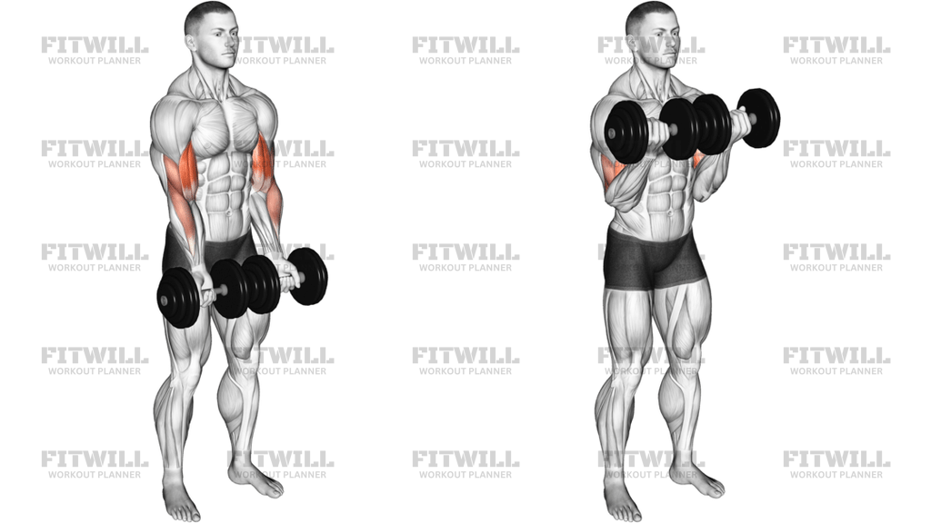 Dumbbell Close-Grip Curl