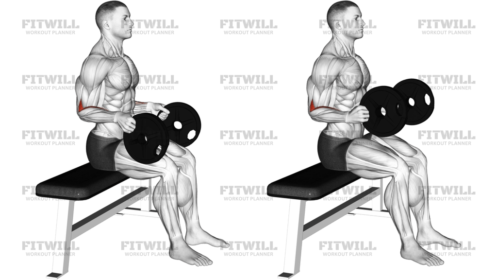 Weighted Seated Neutral Wrist Curl