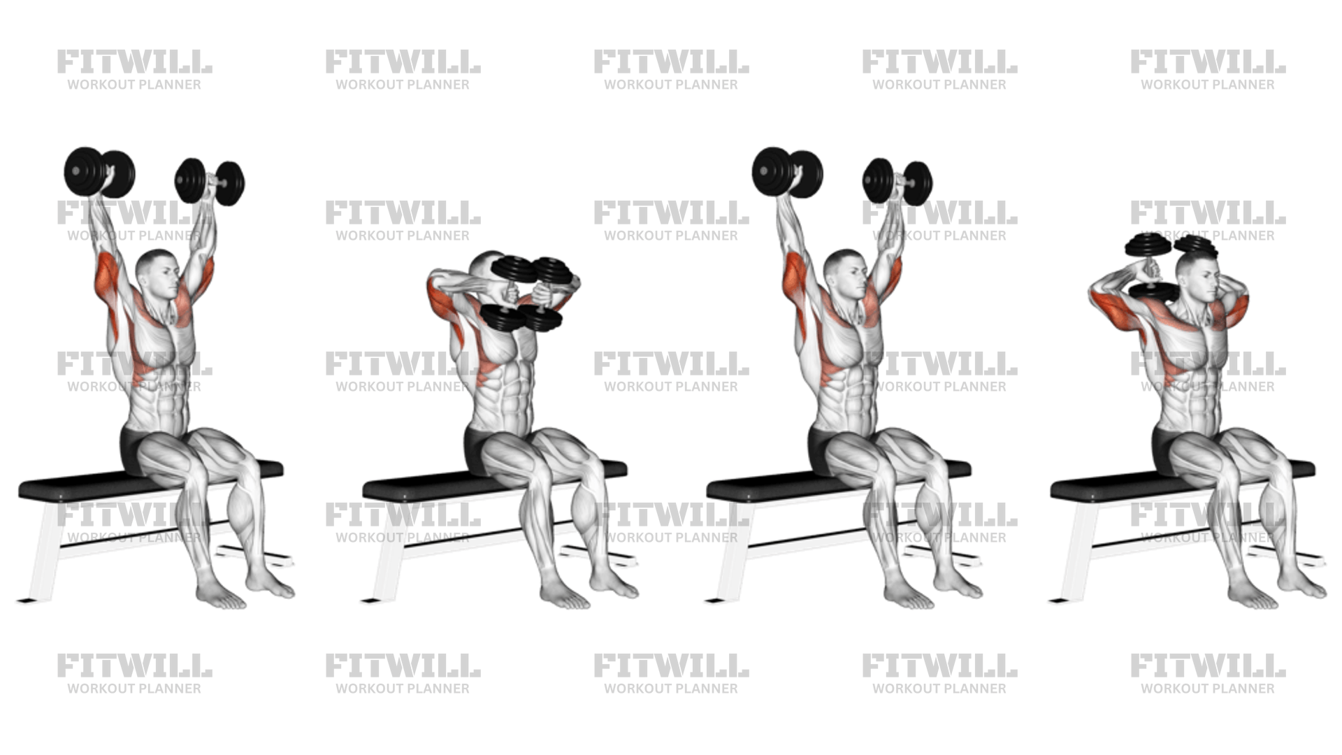 Dumbbell Seated Front And Back Tate Press Exercise Guide Techniques Benefits How to Muscles Worked Tips Tricks Fitwill