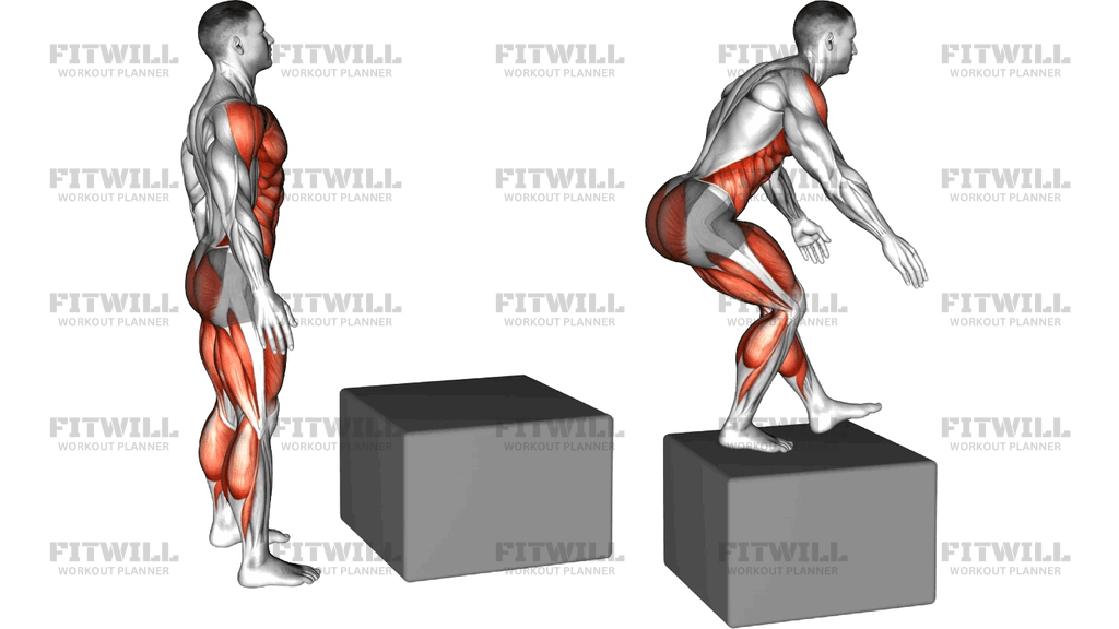 Άλμα Σε Κουτί Από Κάθισμα Στο Ένα Πόδι (Jump Pistol Squat Box)