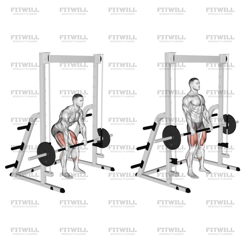 Smith Rack Pull Exercise Guide Techniques Benefits How to Muscles Worked Tips Tricks Fitwill