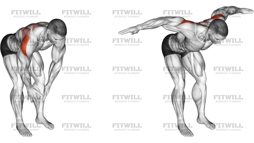 Bodyweight Bent-Over Rear Delt Fly