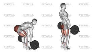 Barbell Banded Romanian Deadlift