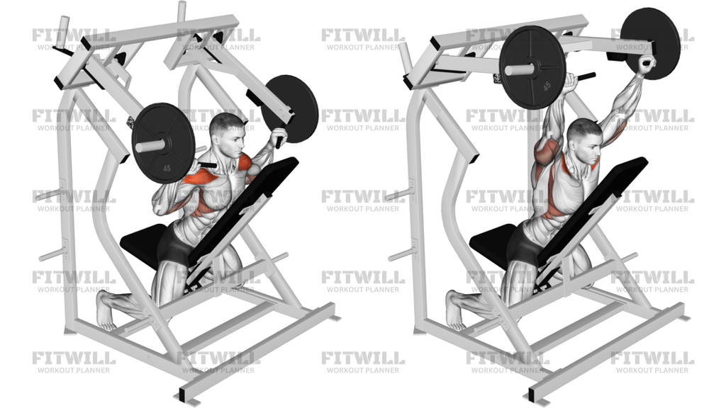 Lever Reverse Shoulder Press Plate Loaded