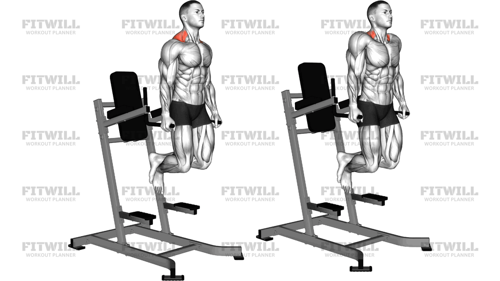 Shrug On Parallel Bars