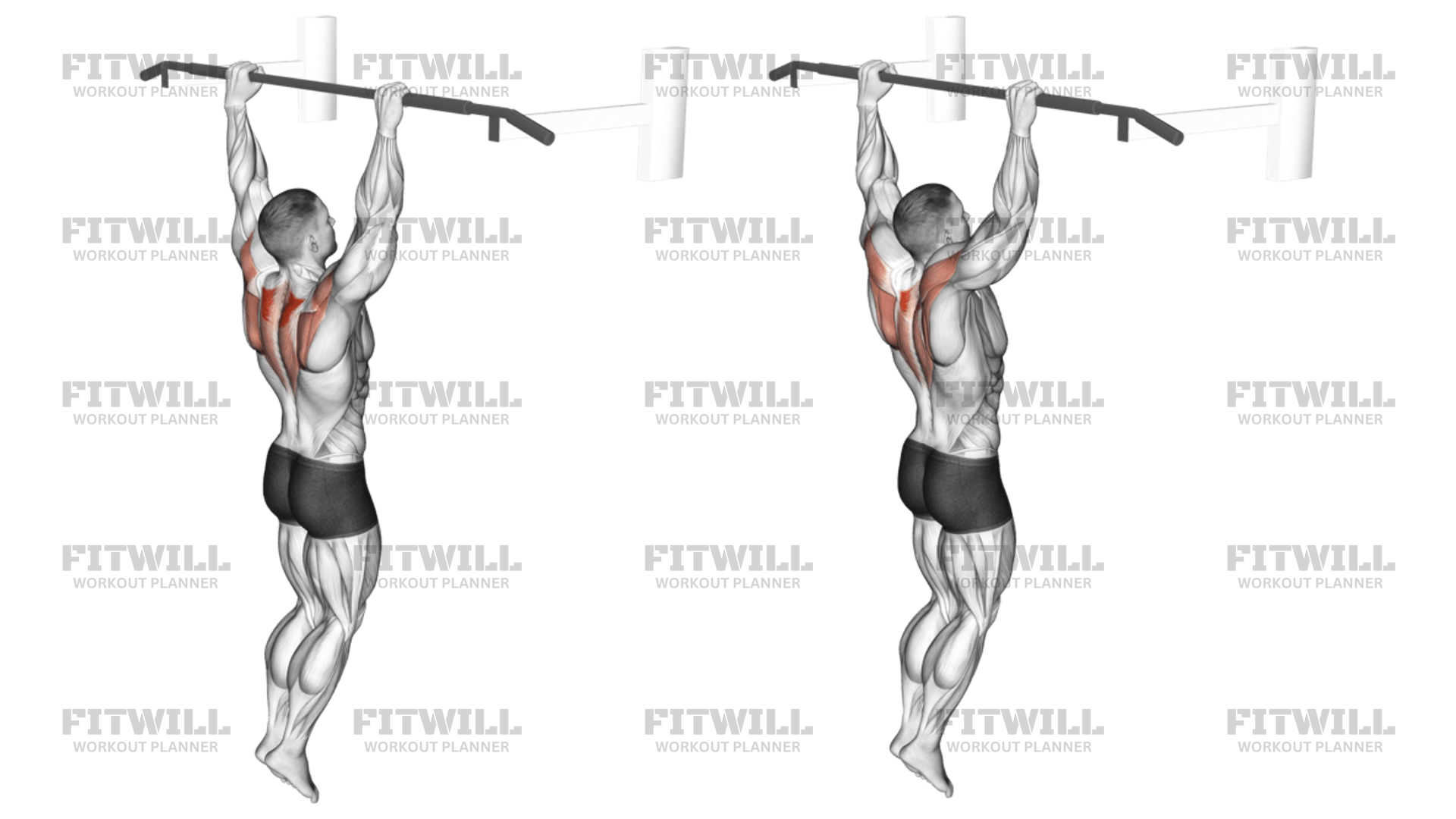 Hanging Scapular Shrug: Exercise Guide, Techniques, Benefits, How to ...