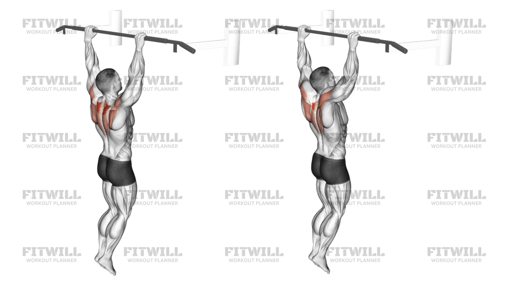 Hanging Scapular Shrug: Exercise Guide, Techniques, Benefits, How to ...