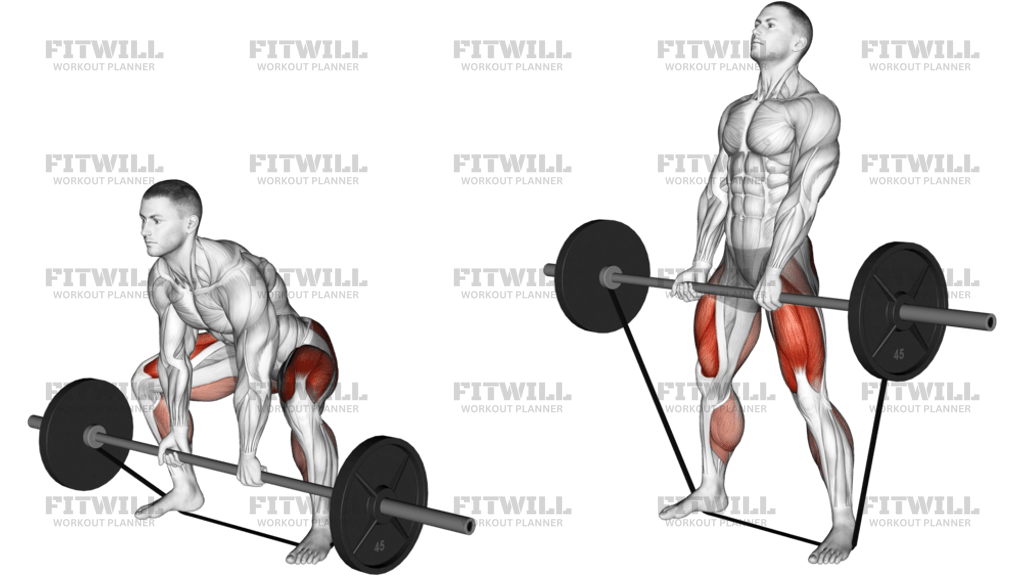 Barbell Banded Sumo Deadlift