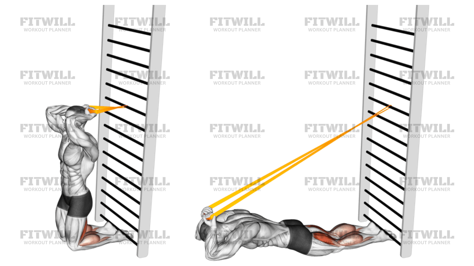 Resistance Band Assisted Nordic Hamstring Curl Exercise Guide Techniques Benefits How to Muscles Worked Tips Tricks Fitwill