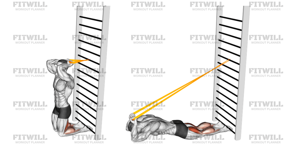 Resistance Band Assisted Nordic Hamstring Curl: Exercise Guide ...