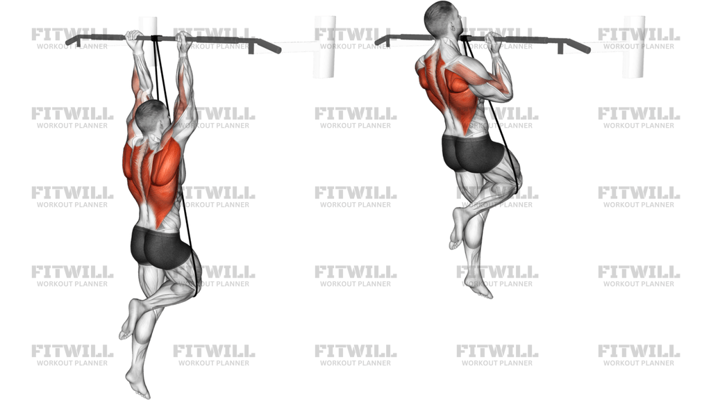 Band Assisted Chin-Up From Knee