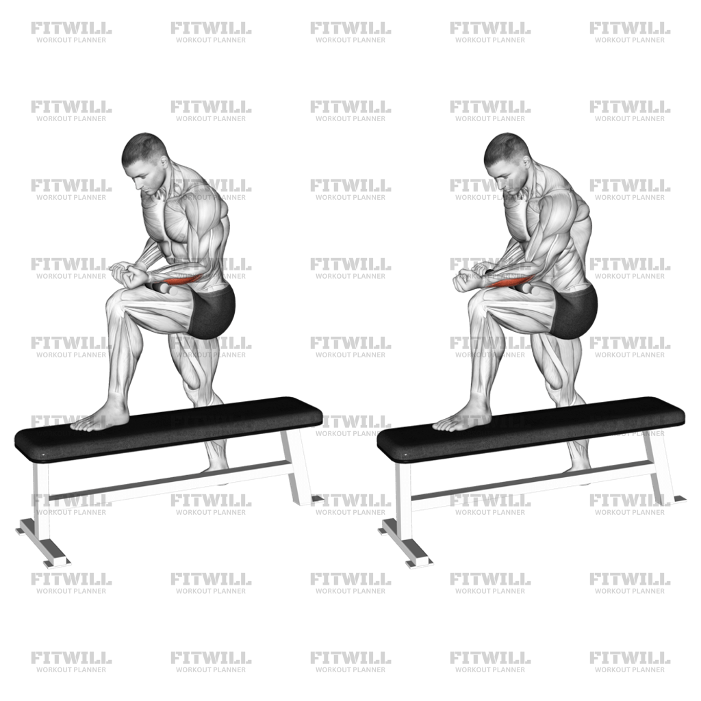Fas Fit Rullo per fascia, set da 4, 6 o 8 pezzi, rullo per massaggi e palloni da fascia, rullo per un efficace allenamento fasciale, con poster