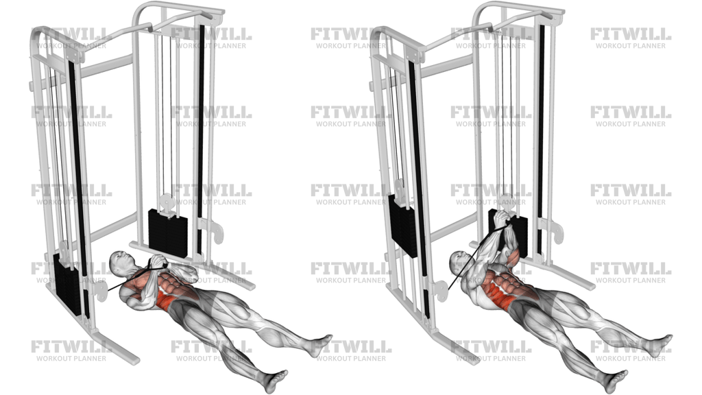 Cable Lying Pallof Press