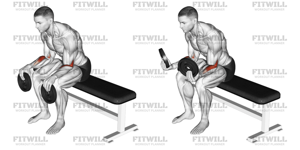 Weighted Seated Supination: Exercise Guide, Techniques, Benefits, How ...