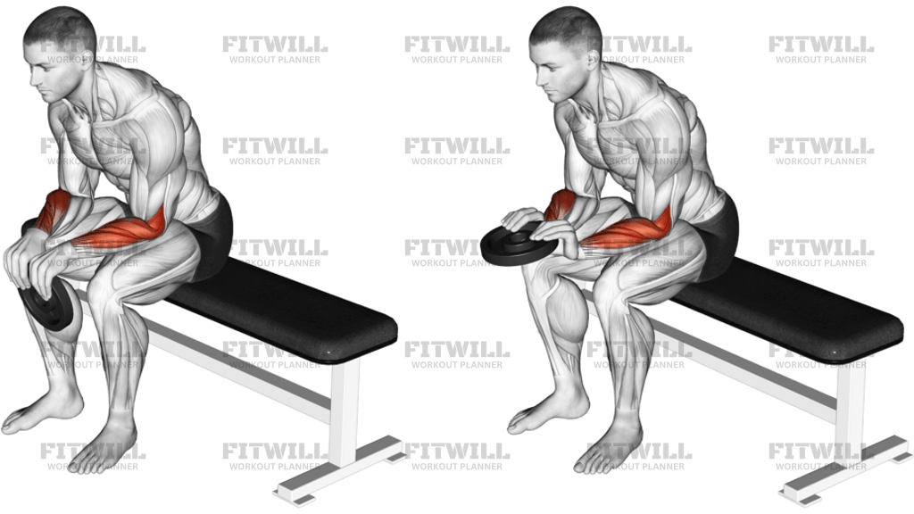 Weighted Seated Reverse Wrist Curl