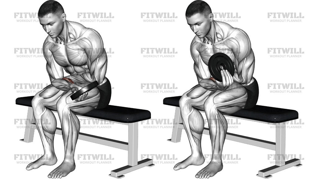 Weighted Seated One-Arm Wrist Curl