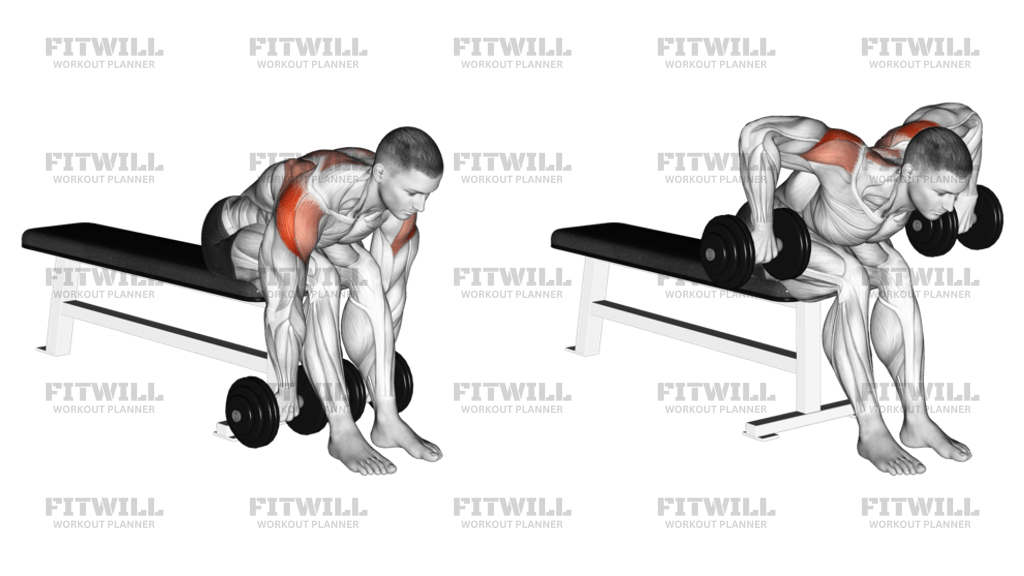 Dumbbell Seated Bent Over Rear Delt Row: Exercise Guide, Techniques ...