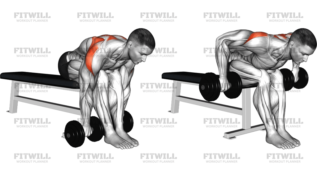 Dumbbell Seated Bent-Over Rear Delt Row