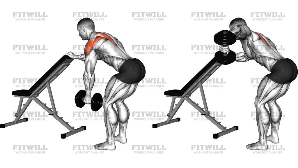 Dumbbell One-Arm Reverse Fly With Support Version 2