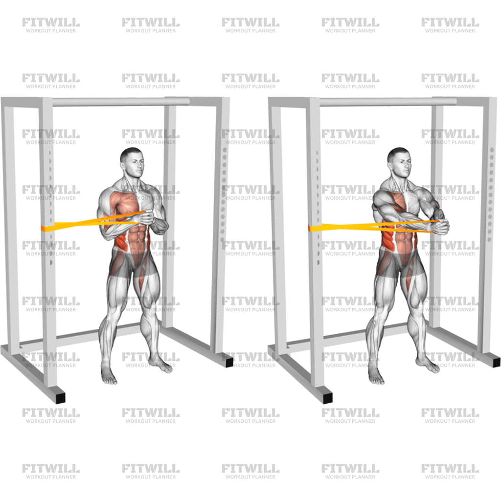 Resistance Band Horizontal Pallof Press: Exercise Guide, Video ...