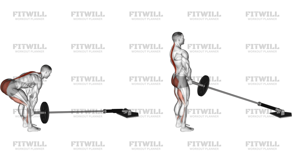 Landmine Romanian Deadlift Version 2