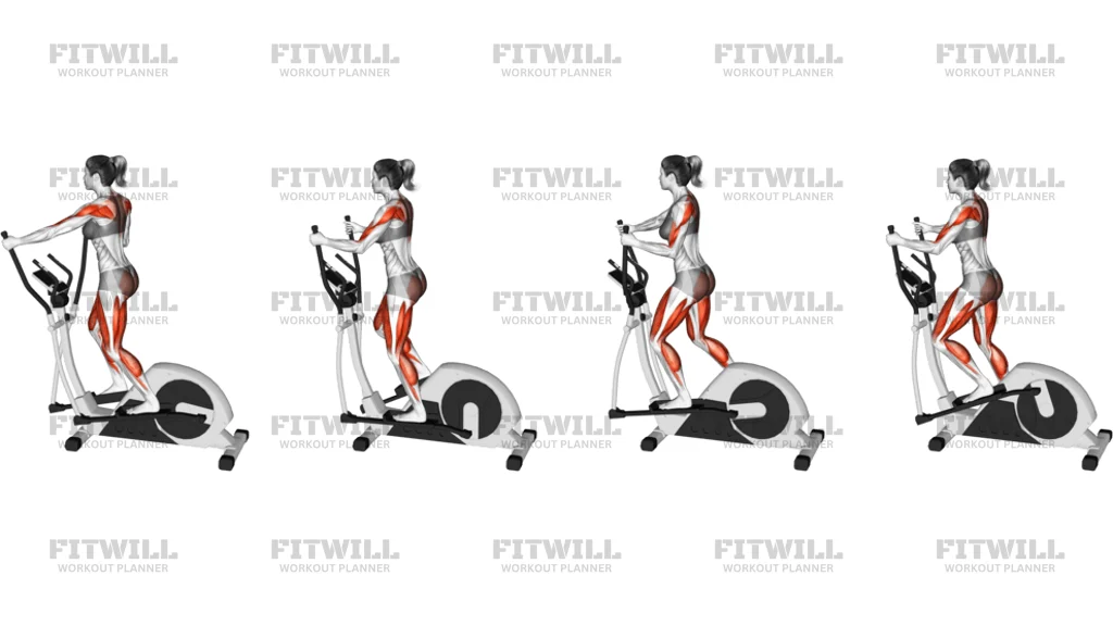 Walking On Elliptical Machine Version 7