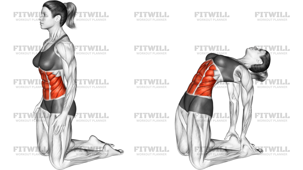 Backward Abdominal Stretch