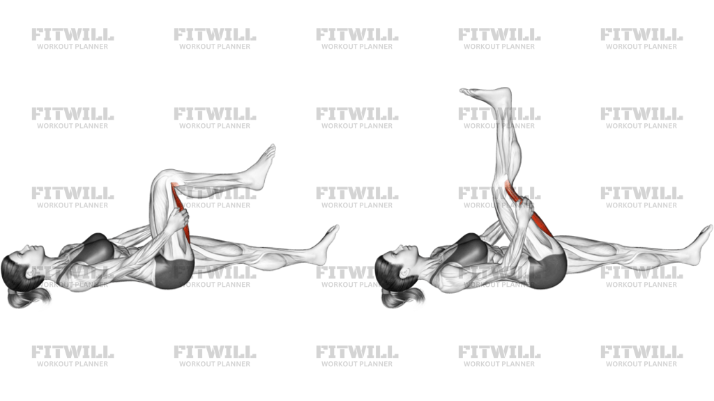 Hamstring Stretch